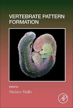 Vertebrate Pattern Formation | Buch | 978-0-12-823461-7 | sack.de