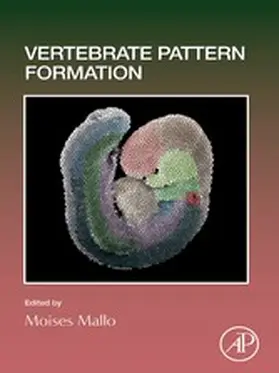 Mallo |  Vertebrate Pattern Formation | eBook | Sack Fachmedien