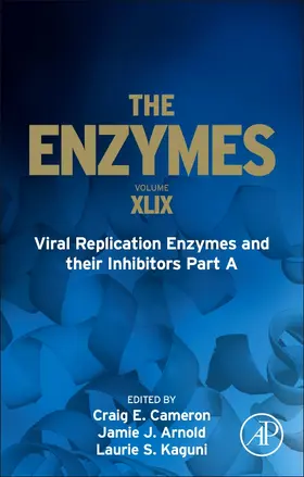  Viral Replication Enzymes and their Inhibitors Part A | Buch |  Sack Fachmedien
