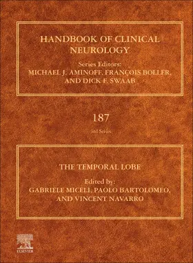 The Temporal Lobe | Buch | 978-0-12-823493-8 | www.sack.de