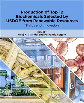 Chandel / Segato |  Production of Top 12 Biochemicals Selected by USDOE from Renewable Resources | Buch |  Sack Fachmedien