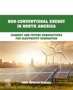 Morales Pedraza | Non-Conventional Energy in North America | E-Book | sack.de