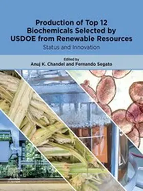 Chandel / Segato |  Production of Top 12 Biochemicals Selected by USDOE from Renewable Resources | eBook | Sack Fachmedien