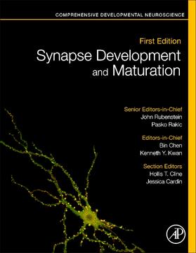 Rakic / Rubenstein / Chen |  Synapse Development and Maturation | Buch |  Sack Fachmedien