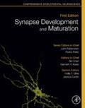 Rakic / Rubenstein / Chen |  Synapse Development and Maturation | eBook | Sack Fachmedien