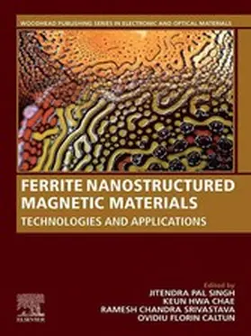 Pal Singh / Chae / Srivastava | Ferrite Nanostructured Magnetic Materials | E-Book | sack.de