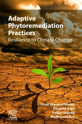 Sharma / Roy / Pandey | Adaptive Phytoremediation Practices | Buch | 978-0-12-823831-8 | sack.de