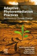 Gajic / Sharma / Roy |  Adaptive Phytoremediation Practices | eBook | Sack Fachmedien