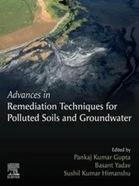 Gupta / Yadav / Himanshu |  Advances in Remediation Techniques for Polluted Soils and Groundwater | eBook | Sack Fachmedien