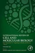 Galluzzi / Marchi |  Inter-Organellar Ca2+ Signaling in Health and Disease - Part A | eBook | Sack Fachmedien