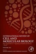 Galluzzi / Marchi |  Inter-Organellar Ca2+ Signaling in Health and Disease - Part B | eBook | Sack Fachmedien