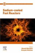 Morishita / Ohshima / Koizumi |  Sodium-cooled Fast Reactors | eBook | Sack Fachmedien