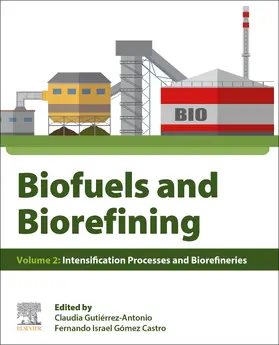 Gutierrez-Antonio / Gomez Castro |  Biofuels and Biorefining | Buch |  Sack Fachmedien