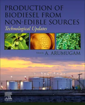 Arumugam |  Production of Biodiesel from Non-Edible Sources | Buch |  Sack Fachmedien