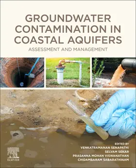 Venkatramanan / Sekar / Viswanathan |  Groundwater Contamination in Coastal Aquifers | Buch |  Sack Fachmedien