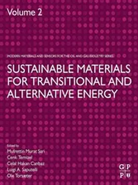 Sari / Temizel / Canbaz | Sustainable Materials for Transitional and Alternative Energy | E-Book | sack.de