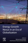 Shahbaz / Tiwari / Sinha |  Energy-Growth Nexus in an Era of Globalization | Buch |  Sack Fachmedien