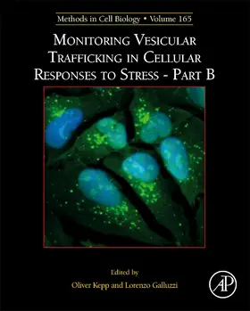 Monitoring Vesicular Trafficking in Cellular Responses to Stress - Part B | Buch | 978-0-12-824487-6 | sack.de