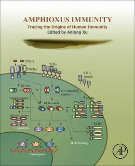 Xu |  Amphioxus Immunity | Buch |  Sack Fachmedien