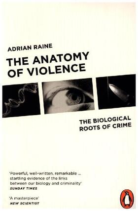 Raine |  The Anatomy of Violence | Buch |  Sack Fachmedien