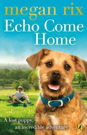 Rix |  Echo Come Home | Buch |  Sack Fachmedien