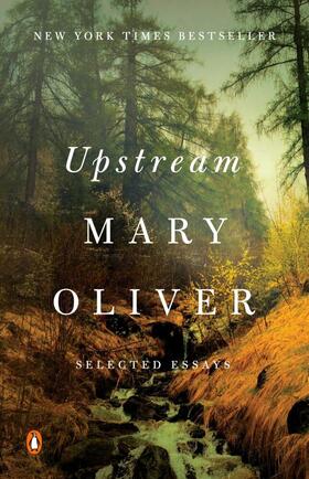 Oliver |  Upstream | Buch |  Sack Fachmedien