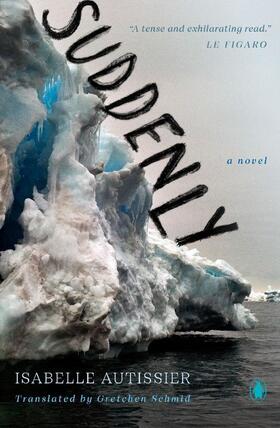 Autissier |  Suddenly | Buch |  Sack Fachmedien