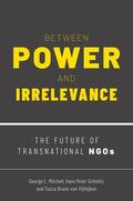 Mitchell / Peter Schmitz / Bruno-van Vijfeijken |  Between Power and Irrelevance | Buch |  Sack Fachmedien