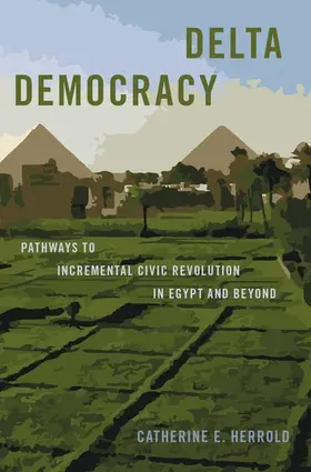 Herrold |  Delta Democracy | Buch |  Sack Fachmedien