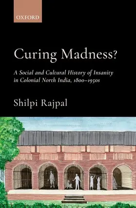 Rajpal |  Curing Madness? | Buch |  Sack Fachmedien