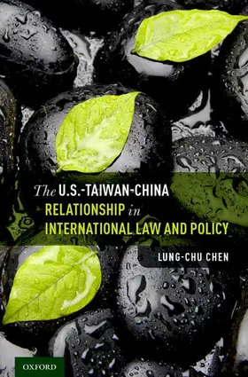 Chen |  U.S.-Taiwan-China Relationship in International Law and Policy | Buch |  Sack Fachmedien
