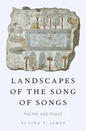 James |  Landscapes of the Song of Songs | Buch |  Sack Fachmedien
