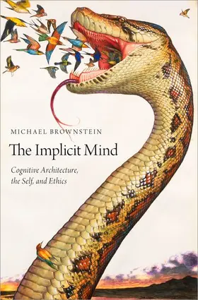 Brownstein |  Implicit Mind | Buch |  Sack Fachmedien