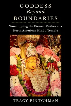 Pintchman |  Goddess Beyond Boundaries | Buch |  Sack Fachmedien