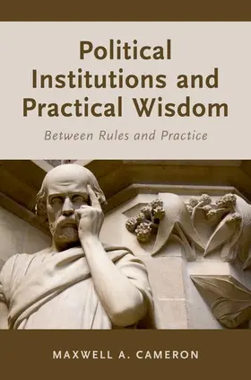 Cameron |  Political Institutions and Practical Wisdom | Buch |  Sack Fachmedien