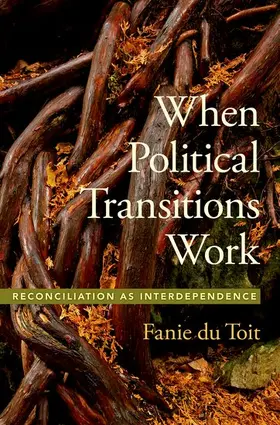 Toit / du Toit |  When Political Transitions Work | Buch |  Sack Fachmedien