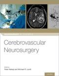 Nakaji / Levitt |  Cerebrovascular Neurosurgery | Buch |  Sack Fachmedien