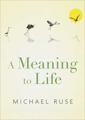 Ruse |  A Meaning to Life | Buch |  Sack Fachmedien