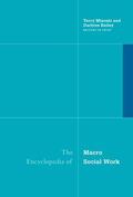 Bailey / Mizrahi |  Encyclopedia of Macro Social Work | Buch |  Sack Fachmedien