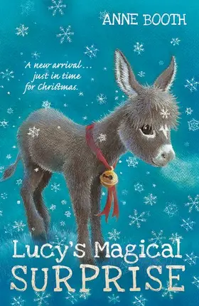Booth |  Lucy's Magical Surprise | Buch |  Sack Fachmedien