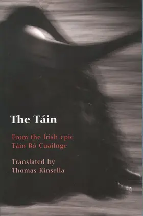  The Tain | Buch |  Sack Fachmedien