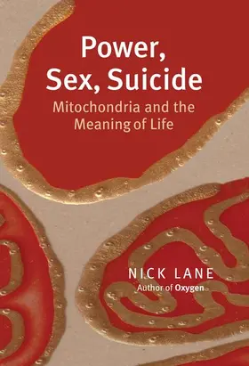 Lane |  Power, Sex, Suicide | Buch |  Sack Fachmedien