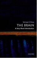 O'Shea |  The Brain: A Very Short Introduction | Buch |  Sack Fachmedien