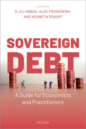 Abbas / Pienkowski / Rogoff |  Sovereign Debt | Buch |  Sack Fachmedien