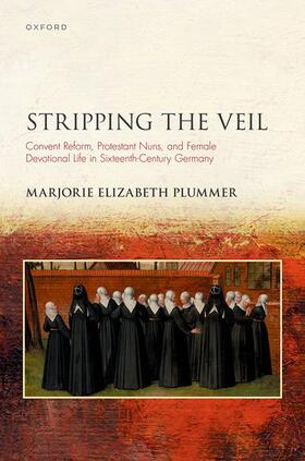 Plummer |  Stripping the Veil | Buch |  Sack Fachmedien
