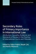 Kajtár / Çali / Milanovic |  Secondary Rules of Primary Importance in International Law | Buch |  Sack Fachmedien