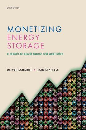 Schmidt / Staffell | Monetizing Energy Storage | Buch | 978-0-19-288817-4 | sack.de