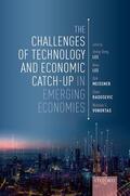 Lee / Meissner / Radosevic |  The Challenges of Technology and Economic Catch-Up in Emerging Economies | Buch |  Sack Fachmedien