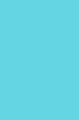 Pollak |  The Theory of the Cost-Of-Living Index | Buch |  Sack Fachmedien