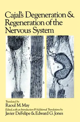 Cajal / DeFelipe / Jones |  CAJAL'S DEGENERATION HN C | Buch |  Sack Fachmedien